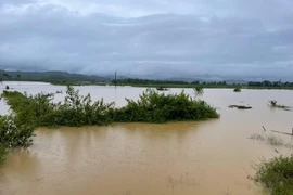 7 người chết và mất tích, hàng nghìn ngôi nhà ngập trong mưa lũ