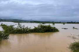 7 người chết và mất tích, hàng nghìn ngôi nhà ngập trong mưa lũ