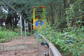 Quảng Ninh: Công viên Sinh viên 45 tỷ đồng “chết yểu”, gây lãng phí