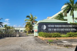 Quảng Ninh: Công ty Youngsun Wolfram Việt Nam bị “siết” xả thải 