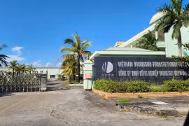 Quảng Ninh: Công ty Youngsun Wolfram Việt Nam bị “siết” xả thải 