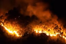 Cháy rừng lịch sử tại Hà Tĩnh: Những hình "nhói lòng"