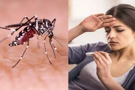 Người bị sốt xuất huyết nên ăn gì nhanh hồi phục sức khỏe?