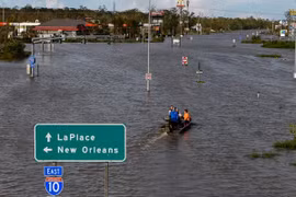 Mỹ: Cụ ông bị cá sấu tấn công giữa vùng lụt sau bão Ida