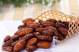 Điểm danh 9 món ăn kì lạ ở Trung Quốc