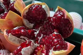 Loại quả vàng của mùa thu “dọn sạch” mạch máu, ngừa đột quỵ