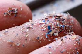 Lần đầu phát hiện hạt vi nhựa trong máu người