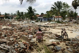 Hình ảnh kinh hoàng trận sóng thần khiến 230.000 người chết năm 2004