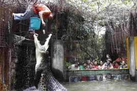 Tận mắt những người thích "giỡn mặt tử thần", nhìn đã thấy thót tim