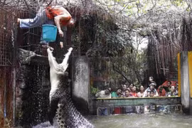 Tận mắt những người thích "giỡn mặt tử thần", nhìn đã thấy thót tim