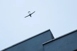 Vì sao sân bay lớn nhất Thụy Điển đóng cửa nhiều giờ?