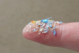 Hạt vi nhựa xuất hiện ở nơi rất khó lọt qua của phổi