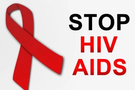 Dự án Vusta: Tăng cường hệ thống cộng đồng ứng phó bền vững dịch HIV/AIDS