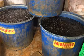 Hãi hùng phát hiện 2,2 tấn thịt ốc ngâm hóa chất ở TP HCM
