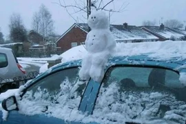 Cười ngất trước loạt khoảnh khắc hài hước khó tin trong cuộc sống