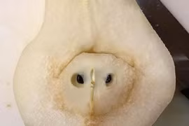 Loạt khoảnh khắc “gây lú” nhất trong cuộc sống