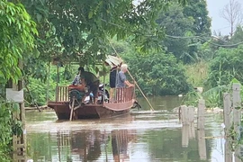 Thủy điện Hòa Bình xả lũ, bãi giữa sông Hồng ngập sâu