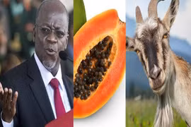 Khó tin đu đủ xét nghiệm dương tính với COVID-19