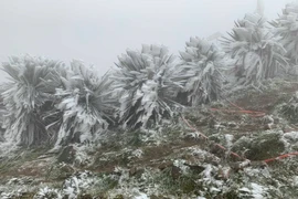 Ngày 27/1: Đón tiếp không khí lạnh, miền Bắc rét hại kèm mưa lạnh