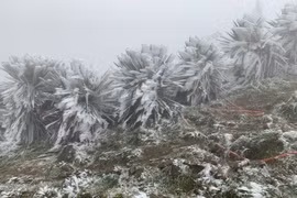 Ngày 27/1: Đón tiếp không khí lạnh, miền Bắc rét hại kèm mưa lạnh