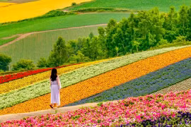 Kinh ngạc loạt bức ảnh đẹp đến mức bạn không tin là thật