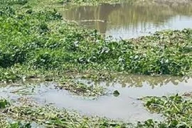 Bất ngờ nguyên nhân thi thể thiếu niên 16 tuổi nổi trên kênh ở Đồng Tháp