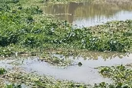 Bất ngờ nguyên nhân thi thể thiếu niên 16 tuổi nổi trên kênh ở Đồng Tháp