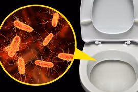 Nơi nguy hiểm và dễ nhiễm bệnh nhất ở bồn cầu