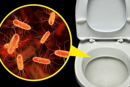 Nơi nguy hiểm và dễ nhiễm bệnh nhất ở bồn cầu