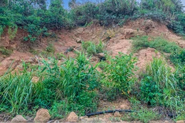 Cận cảnh những điểm nguy cơ sạt lở cao trên đèo Hải Vân 