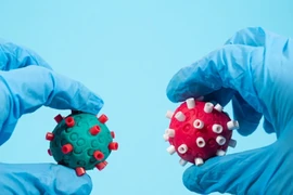 Biến thể phụ mới của Omicron “lây chóng mặt” ở Nam Phi: Nguy hiểm sao?