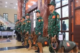 Việt Nam cử lực lượng cứu trợ thảm họa sang hỗ trợ Myanmar