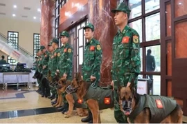 Việt Nam cử lực lượng cứu trợ thảm họa sang hỗ trợ Myanmar