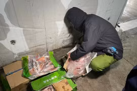 Chân gà, dê muối nguyên con hết “date” 2 năm chuẩn bị lên bàn ăn