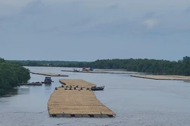 Chuyên gia cảnh báo: Nhiều hệ lụy nếu thu hẹp KBT thiên nhiên Tiền Hải