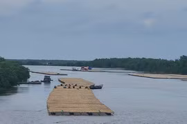 Chuyên gia cảnh báo: Nhiều hệ lụy nếu thu hẹp KBT thiên nhiên Tiền Hải