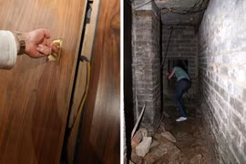 Hú hồn màn chào đón “đỡ không nổi” khi chuyển đến nhà mới