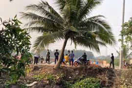 Vây bắt nghi phạm giết nữ nhân viên quán cà phê ở TP HCM 