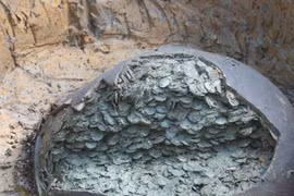 Đào đất giữa đồng, bất ngờ phát hiện “kho báu” khủng