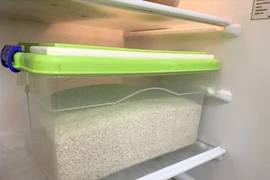 Đặt thứ này vào thùng gạo, để cả năm không lo mối mọt