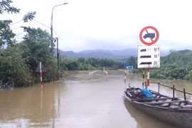 Mưa lớn, hàng loạt quốc lộ ở Quảng Nam, Quảng Ngãi ngập sâu
