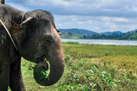 Chiêm ngưỡng ba hồ nước nổi tiếng nhất Tây Nguyên 