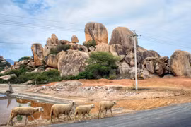 Bức tranh phong cảnh đẹp ngơ ngẩn của Ninh Thuận