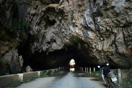 Con đường xuyên hang động tự nhiên có 1-0-2 ở Việt Nam