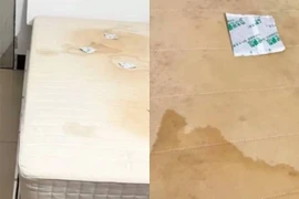 Thuê nhà bị dị ứng liên tục, lật đệm lên phát hiện điều kinh hoàng