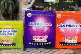 Cá nhân bán pháo hoa trên mạng có bị truy cứu trách nhiệm hình sự?