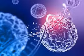 Ăn uống lành mạnh vẫn mắc ung thư giai đoạn cuối vì thói quen này