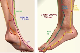 Vuốt chân điều chỉnh huyết áp