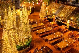 Ngắm rừng thông Noel bằng tre độc đáo giữa lòng Hà Nội