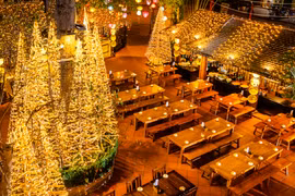 Ngắm rừng thông Noel bằng tre độc đáo giữa lòng Hà Nội